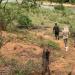 People walking along a river with nets and other ecology research gear